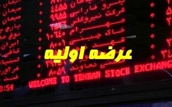 یک عرضه اولیه در بورس و یک عرضه اولیه در فرابورس