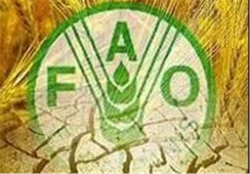 افزایش قیمت جهانی مواد غذایی به بالاترین رقم طی 10 ساله گذشته